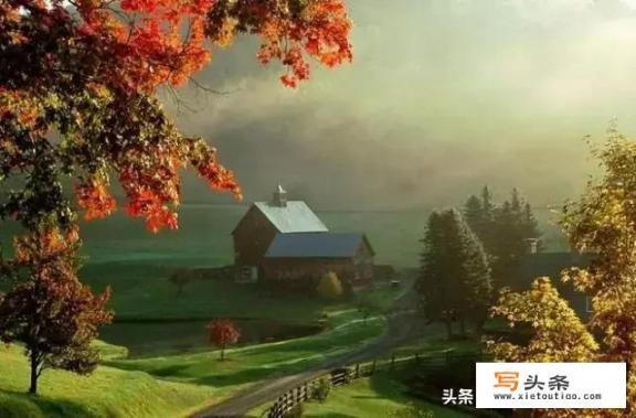 Why is Chongqing said to be only suitable for tourism, not work or life?