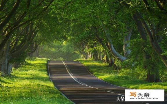Why is Chongqing said to be only suitable for tourism, not work or life?