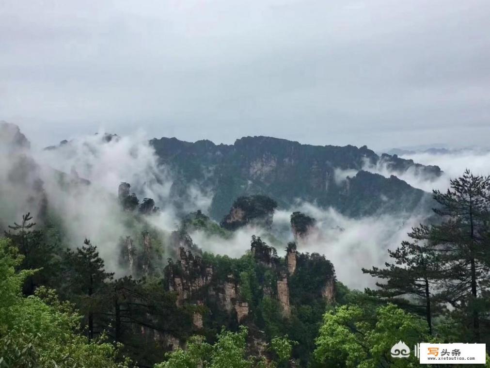 昆明到张家界坐高铁怎么走