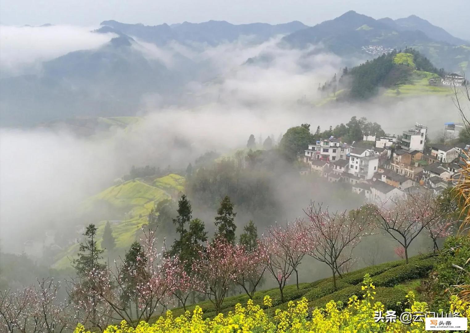 你有拍过烟雾缭绕的照片吗？分享一下好吗