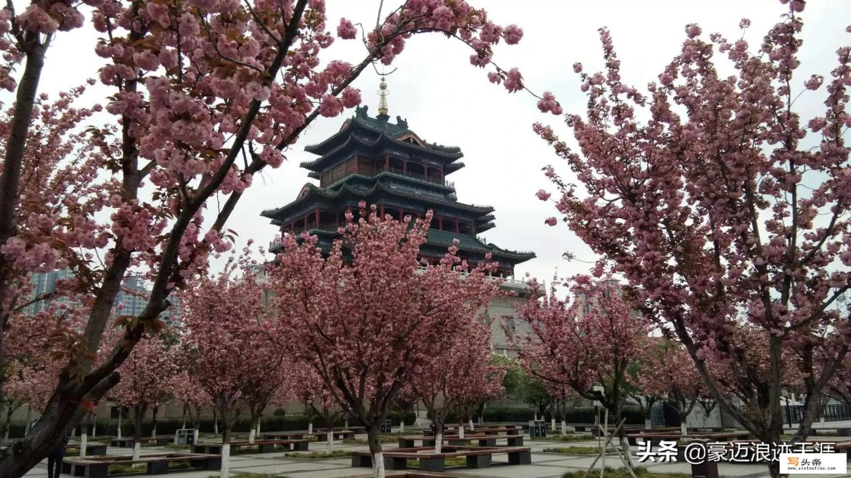 春暖花开去哪里玩好呢