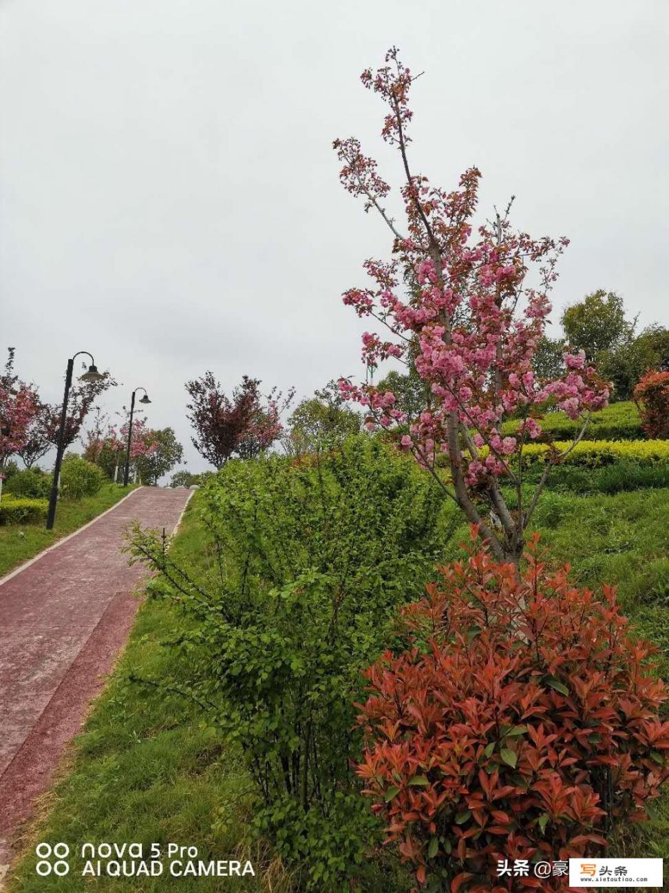 春暖花开去哪里玩好呢