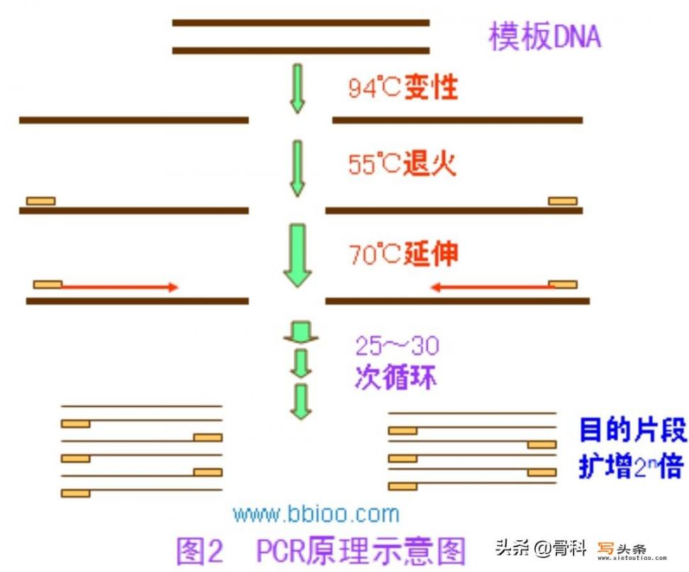 中医诊所开办条件2021？