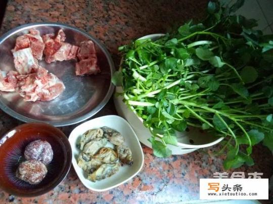 煲什么汤清肺润肺？