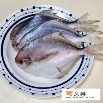 鲳鱼怎么才能去掉腥味，炒来吃比较嫩？