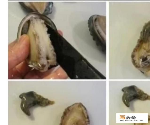 鲍鱼怎么洗最简单？