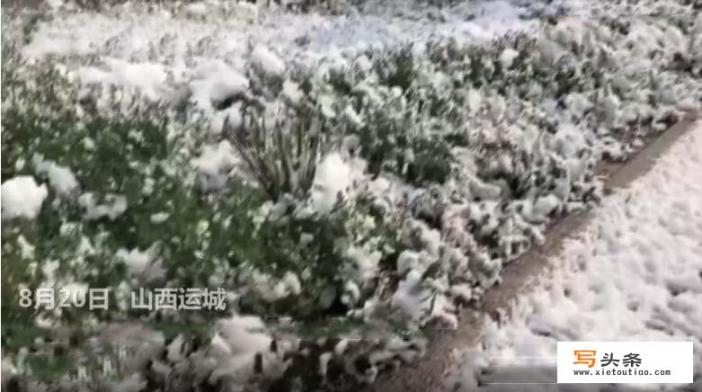 山西运城盐湖30度天气现“雪景”，路面有积雪，行人穿短裤玩雪：系高温致湖水粘度增加，风力下气泡粘连形成雪花。你怎么看？