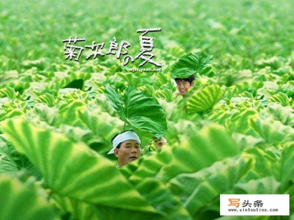 有哪些，必看的经典电影，推荐下？