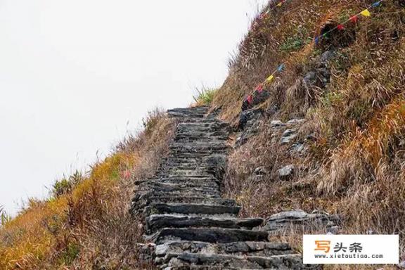 广东省内三日游，有什么好的推荐？