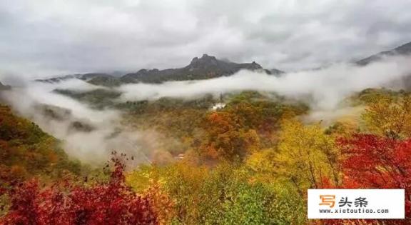 三天时间最合适去哪旅游？