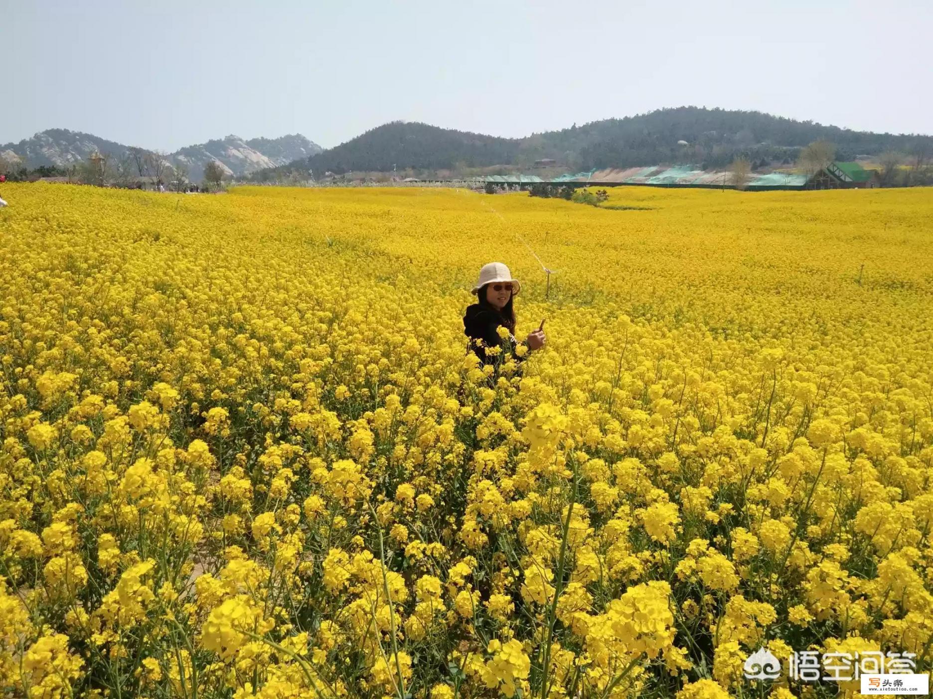 旅游团是什么？