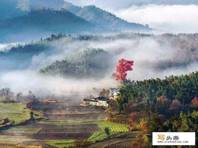 十一月份，国内适合去哪里旅游？