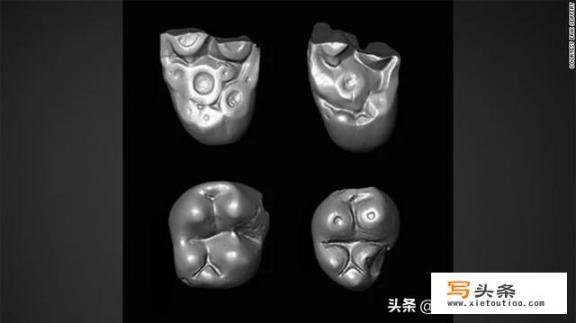 有一种花开了的花芯象个小猴子是什么花产自于那里？