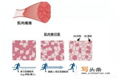 挺身式跳远第一节课教什么？