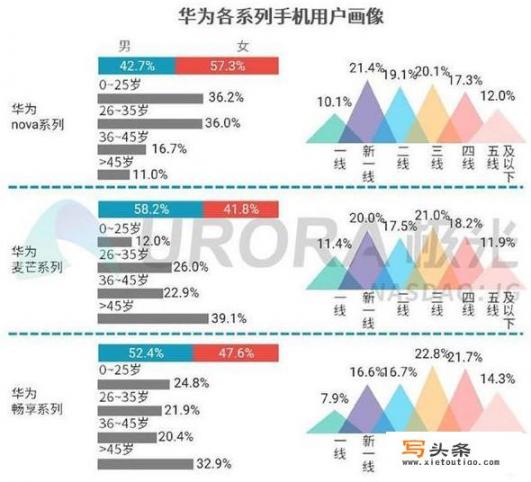 华为主要消费群体？