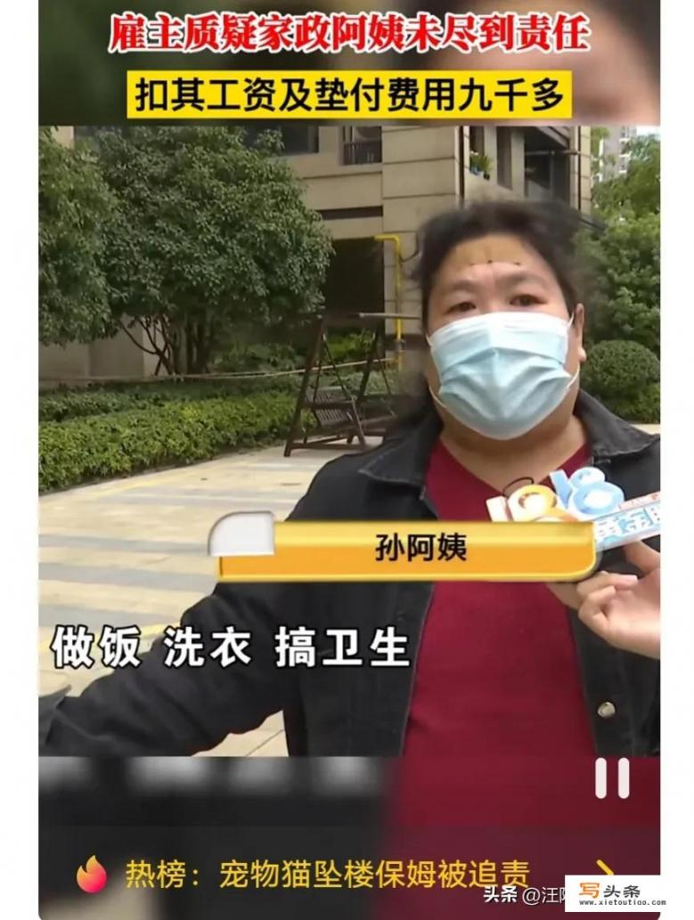 我是保姆，雇主家猫摔死了，雇主让我赔偿23万，我该怎么办？