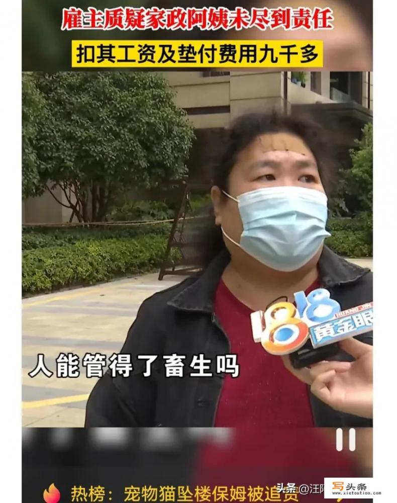 我是保姆，雇主家猫摔死了，雇主让我赔偿23万，我该怎么办？