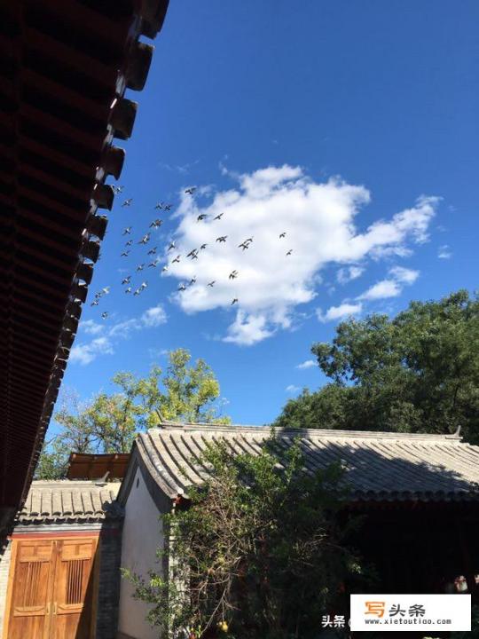 北京夏天盛产什么水果？