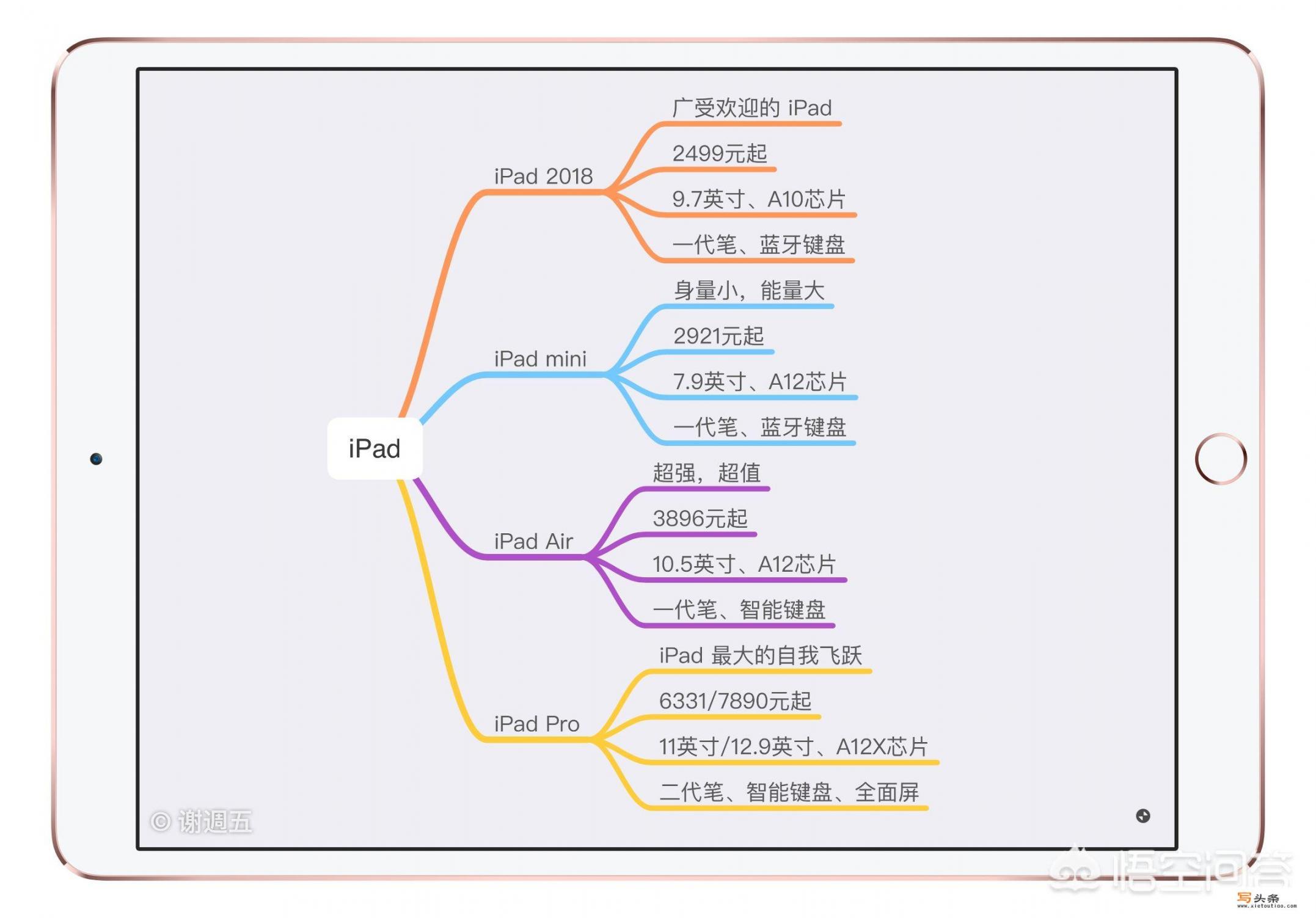 ipad12寸13寸14寸15寸分别是多少厘米请回答实物的长宽是多少厘米，不要告诉我对角线多少多少，不会算？