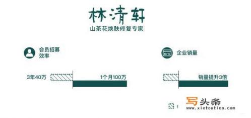 数字财政建设内容？