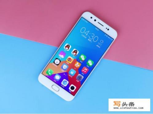 vivo是什么意思？