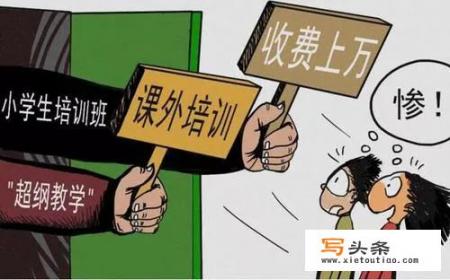 为什么国家会大规模叫停校外培训机构？这样做的目的是什么？