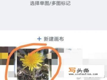 稿定设计怎么去水印？