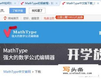 mathtype和word区别？