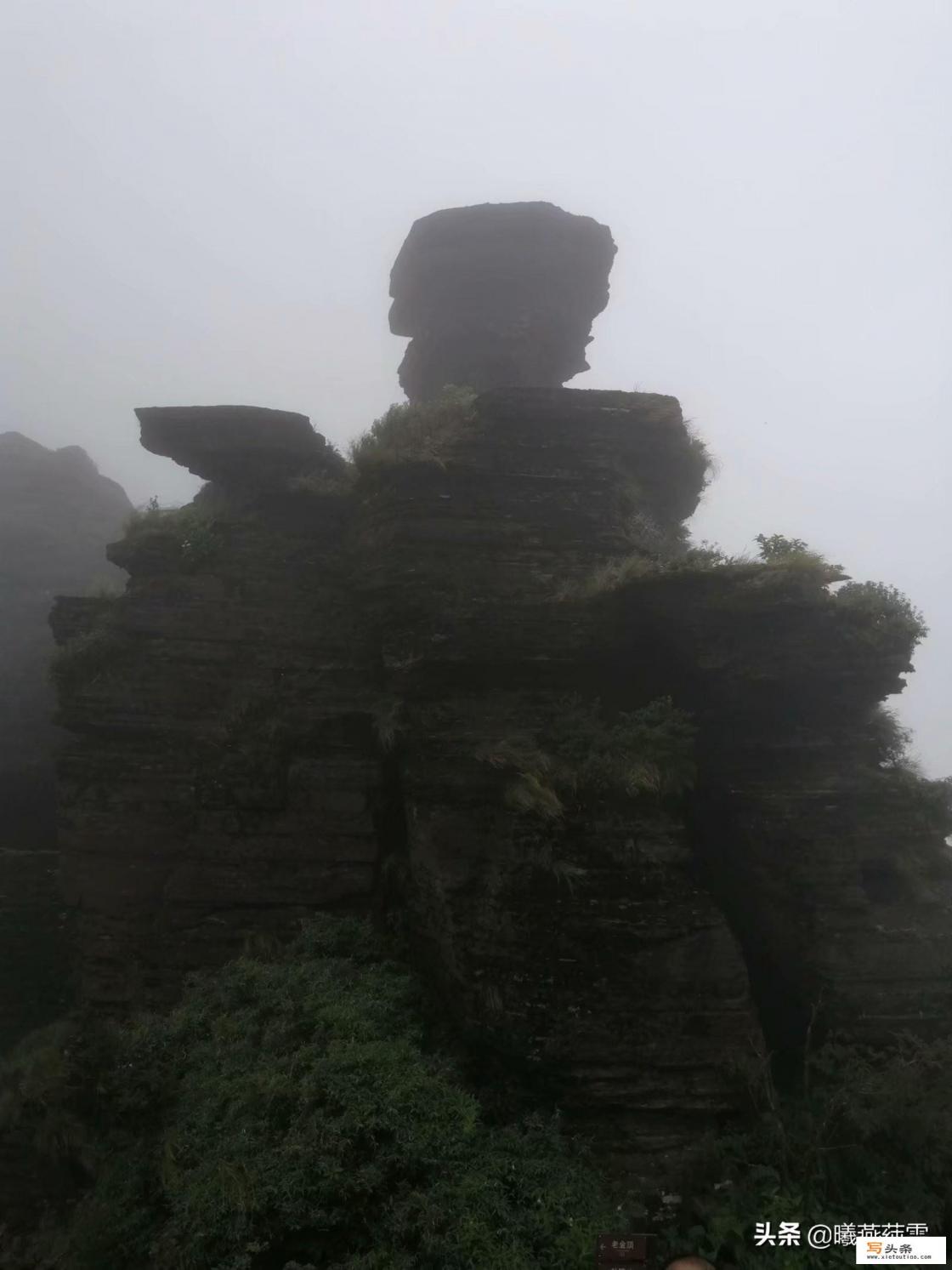 一百字介绍梵净山？