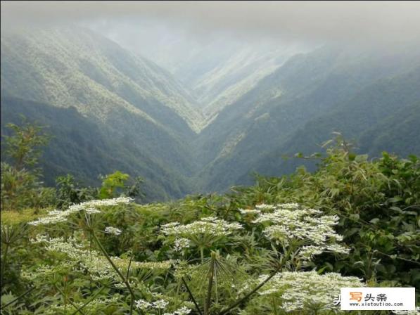 一百字介绍梵净山？