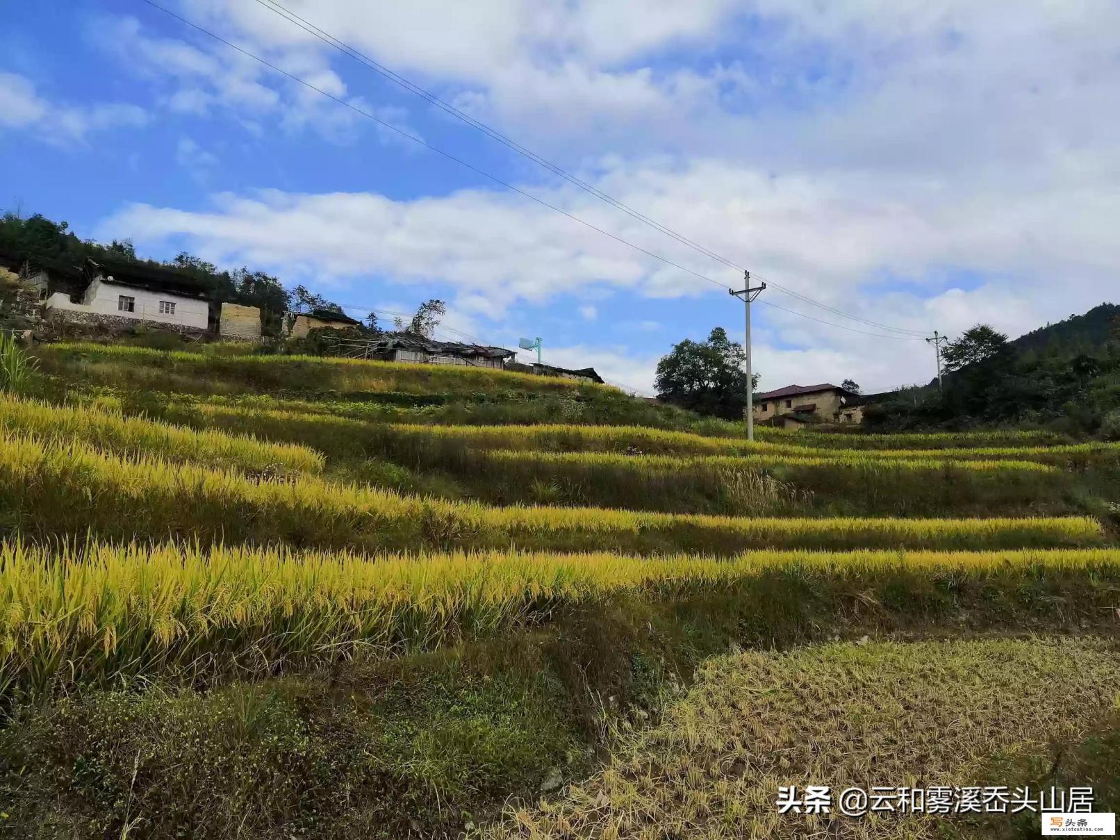 什么童年 歌名？