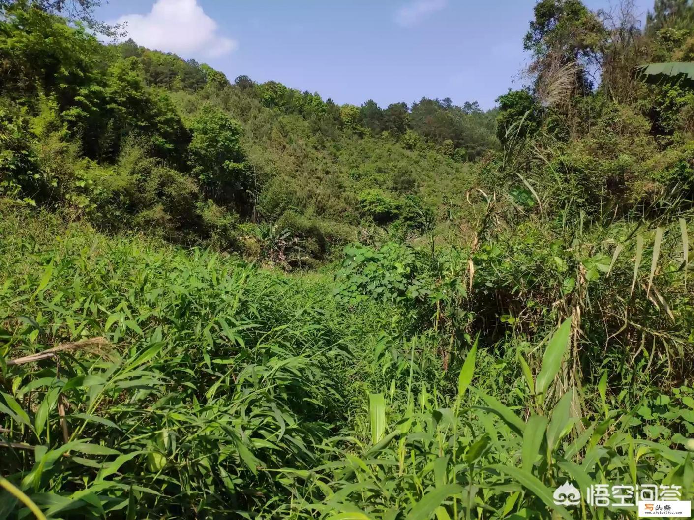 请教西藏十日游线路与相关安排？