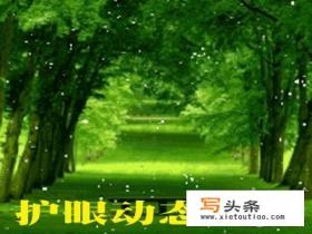 steam壁纸软件有哪些比较好用的？