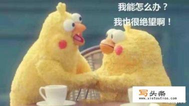 中国可以玩精灵宝可梦go了吗？