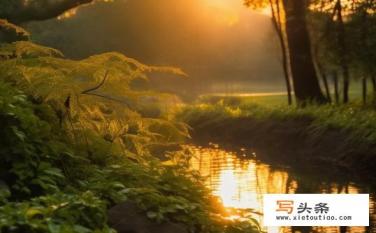 刘海瑞和苏晴的关系和结果？苏晴和刘海瑞的关系是什么？他们的结局如何？刘海瑞和苏晴的爱情故事如何？