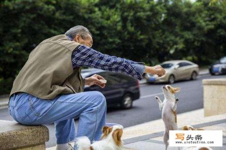 锦州南站有没有去朝阳的车？出租就可以？