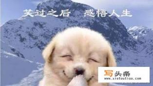 我是视频作者，做的是搞笑类，不配音，无真人，有前途吗？该怎么做？